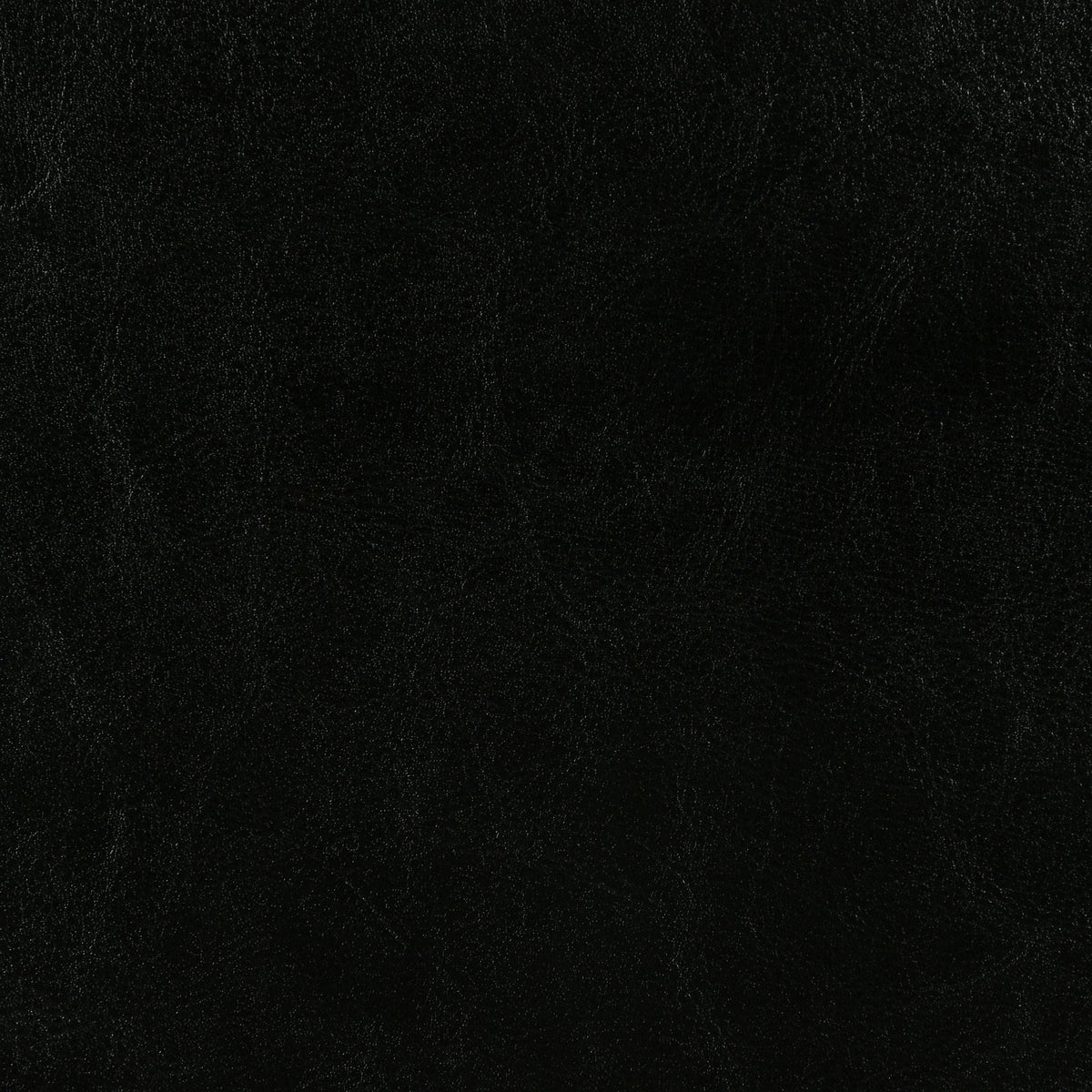 Dorian Faux Leather Upholstered Bed - Twin, Black