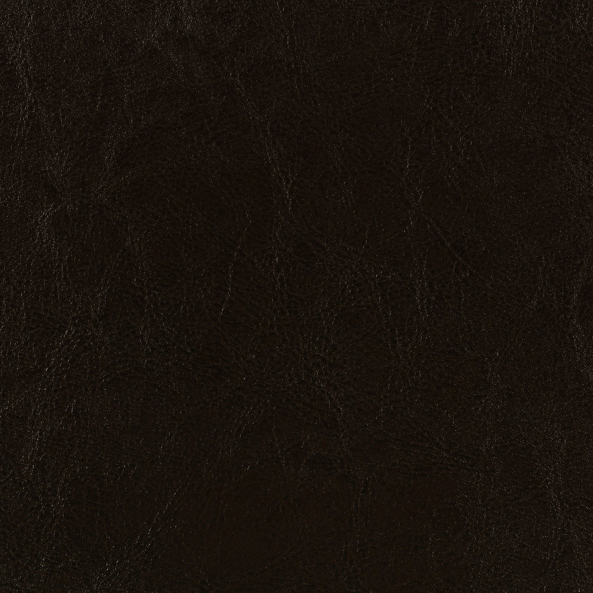Dorian Faux Leather Upholstered Bed - Queen, Brown