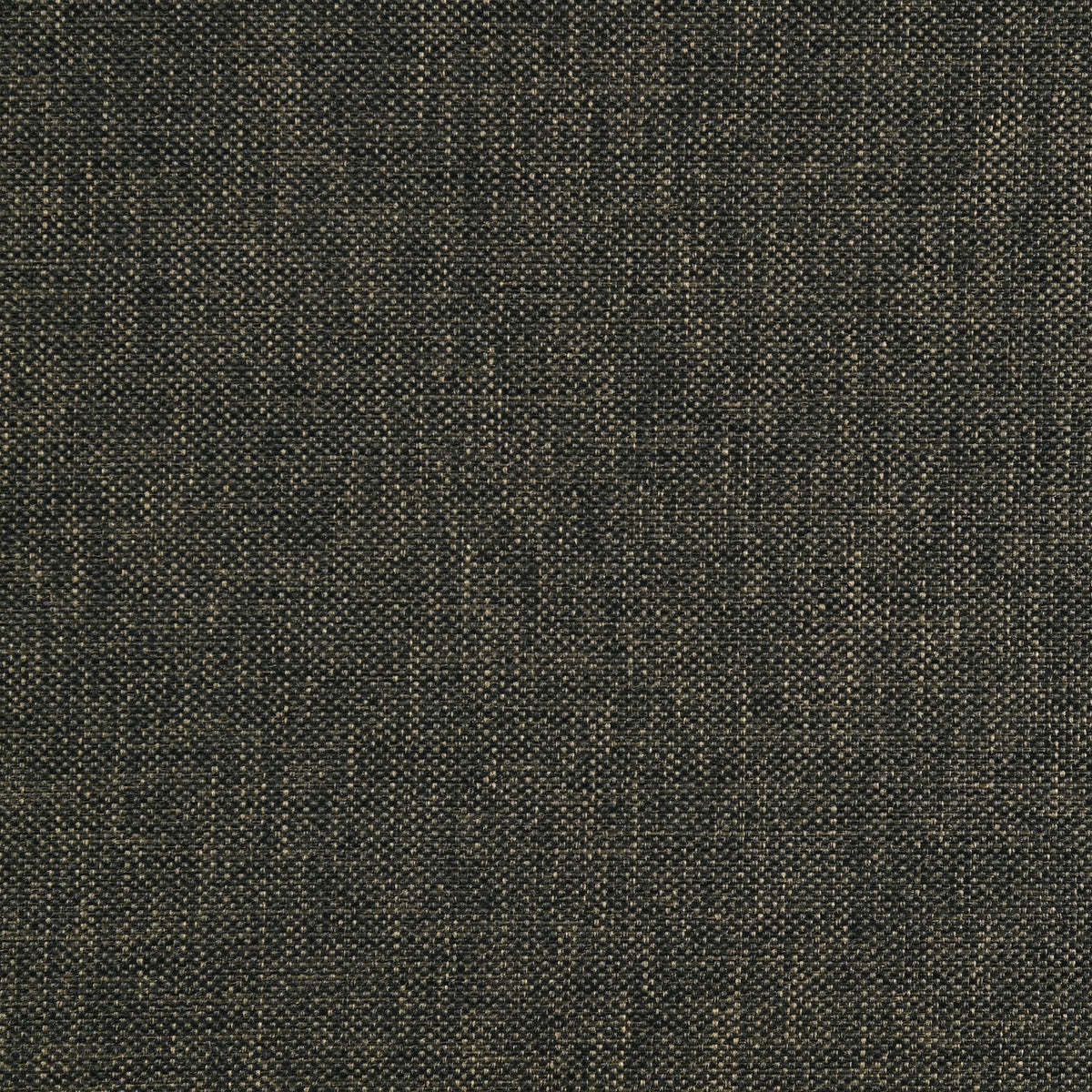 Boyd Upholstered Panel Bed - Twin, Charcoal
