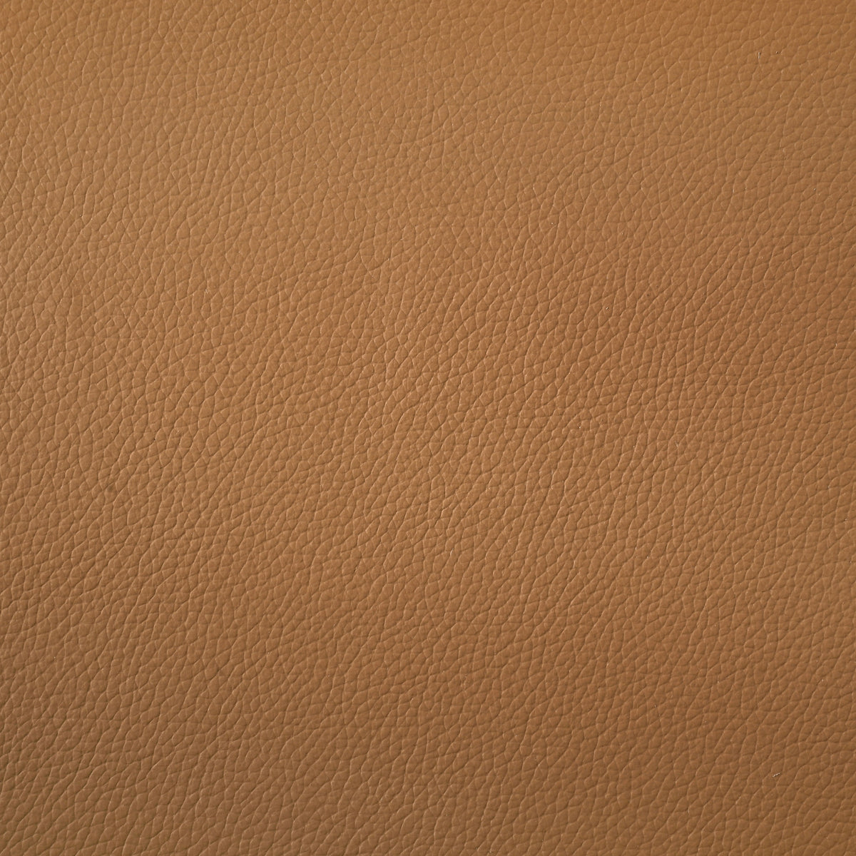 Buxton Top Grain Leather Upholstered Sofa - Orange