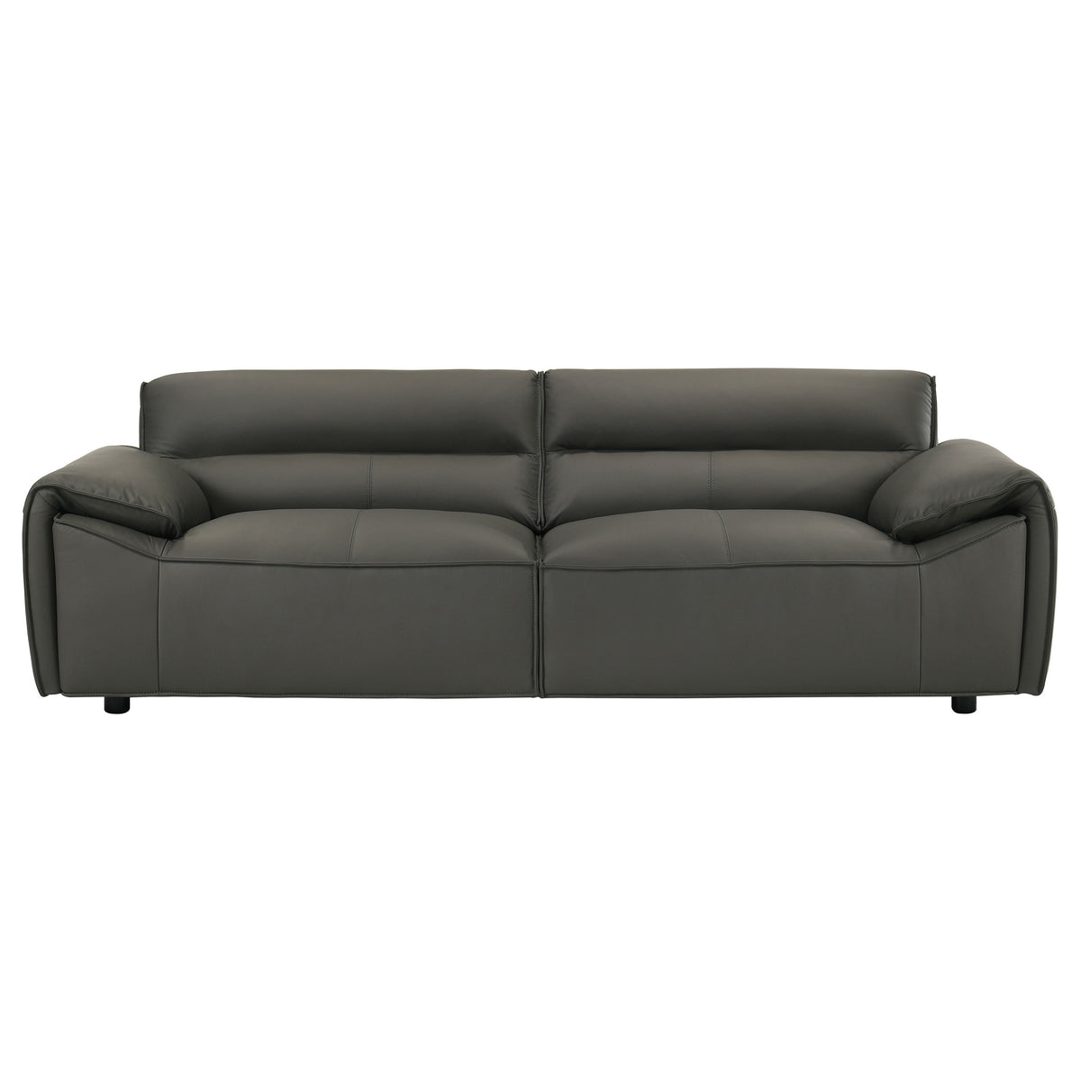 Buxton Top Grain Leather Upholstered Sofa - Graphite