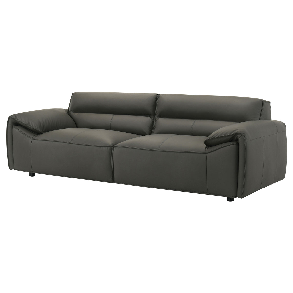 Buxton Top Grain Leather Upholstered Sofa - Graphite