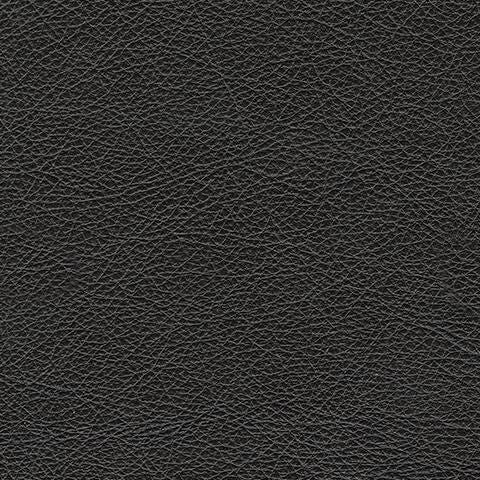 Amiata Chair and a Half Leather