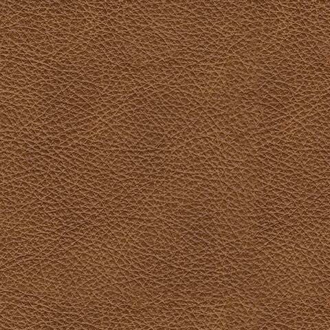 Carianna Loveseat Leather