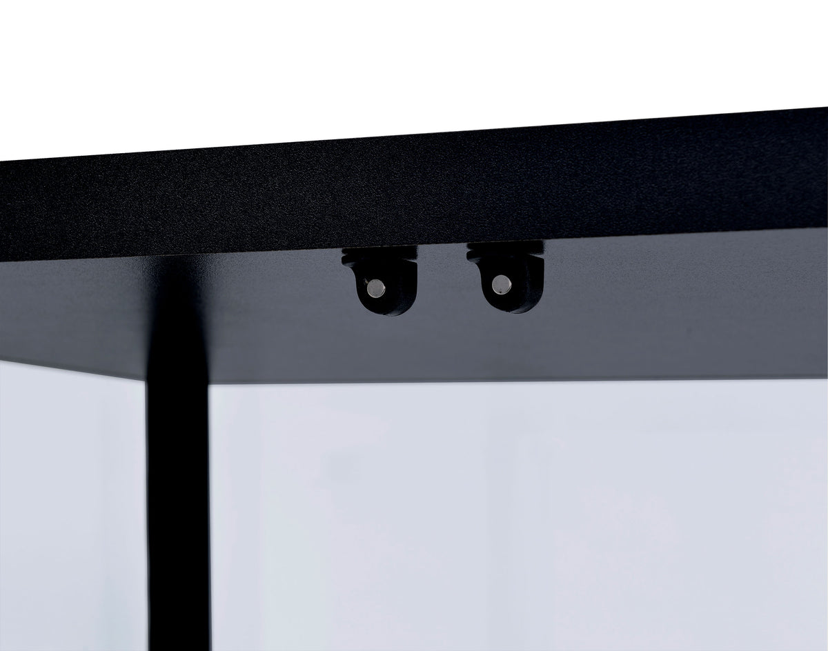 Delphinium 4-Shelf Clear Glass Curio Display Cabinet - Black