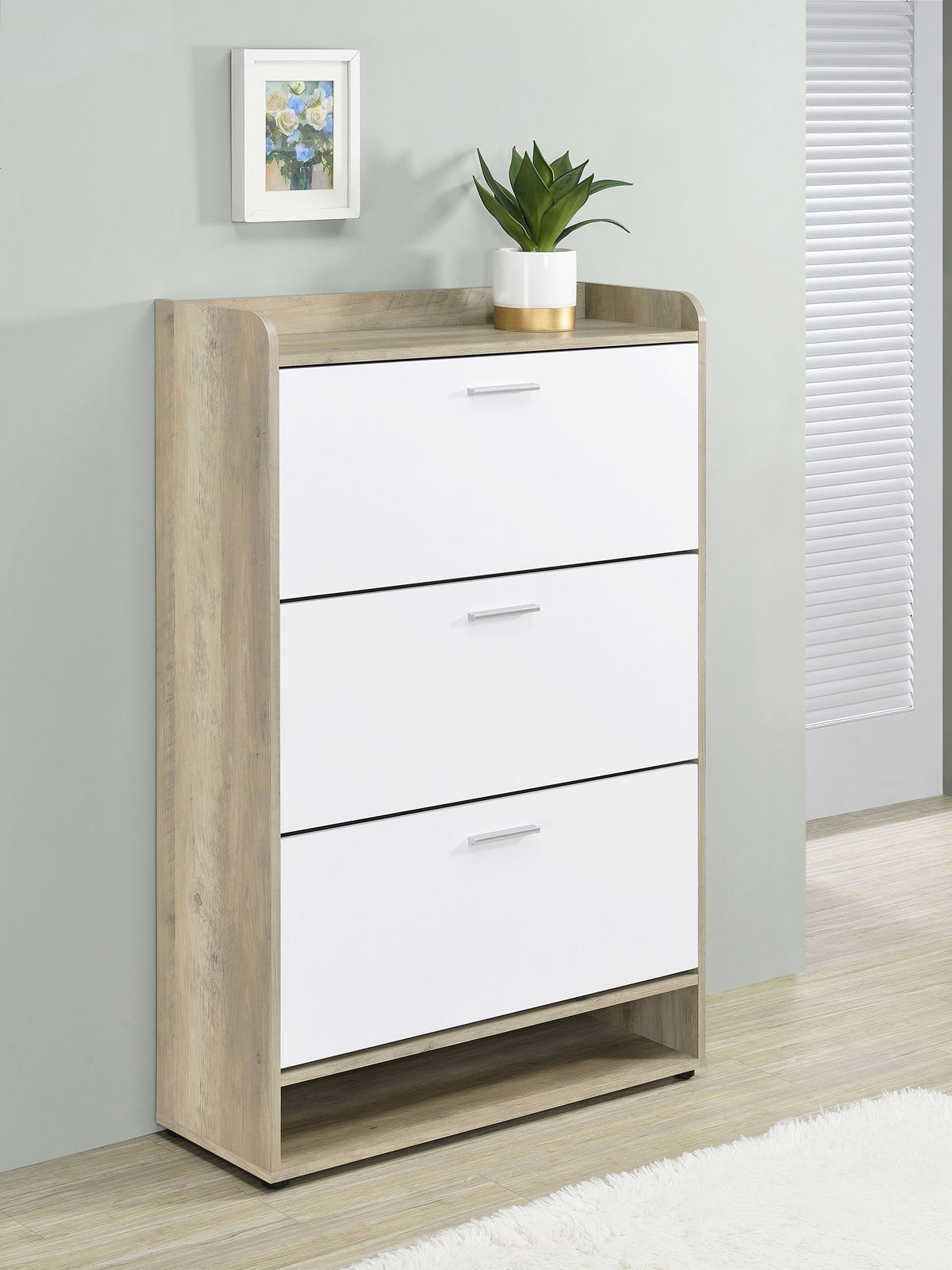 Denia 3-tier Engineered Wood Shoe Cabinet - White