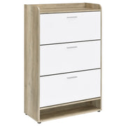 Denia 3-tier Engineered Wood Shoe Cabinet - White