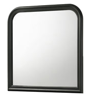 Porter Back Mirror