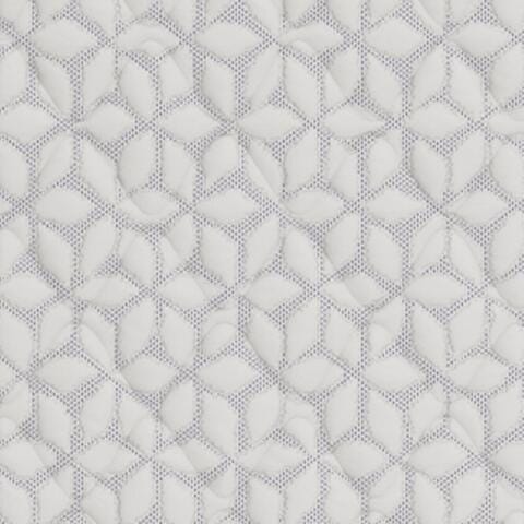 Limited Edition Firm Queen Mattress