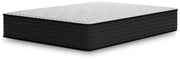 Limited Edition Plush Mattress - Twin
