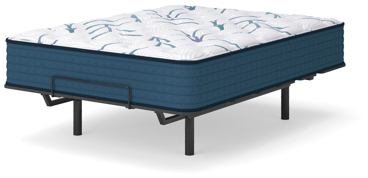 Limited Edition Plush 3.0 Mattress - Twin