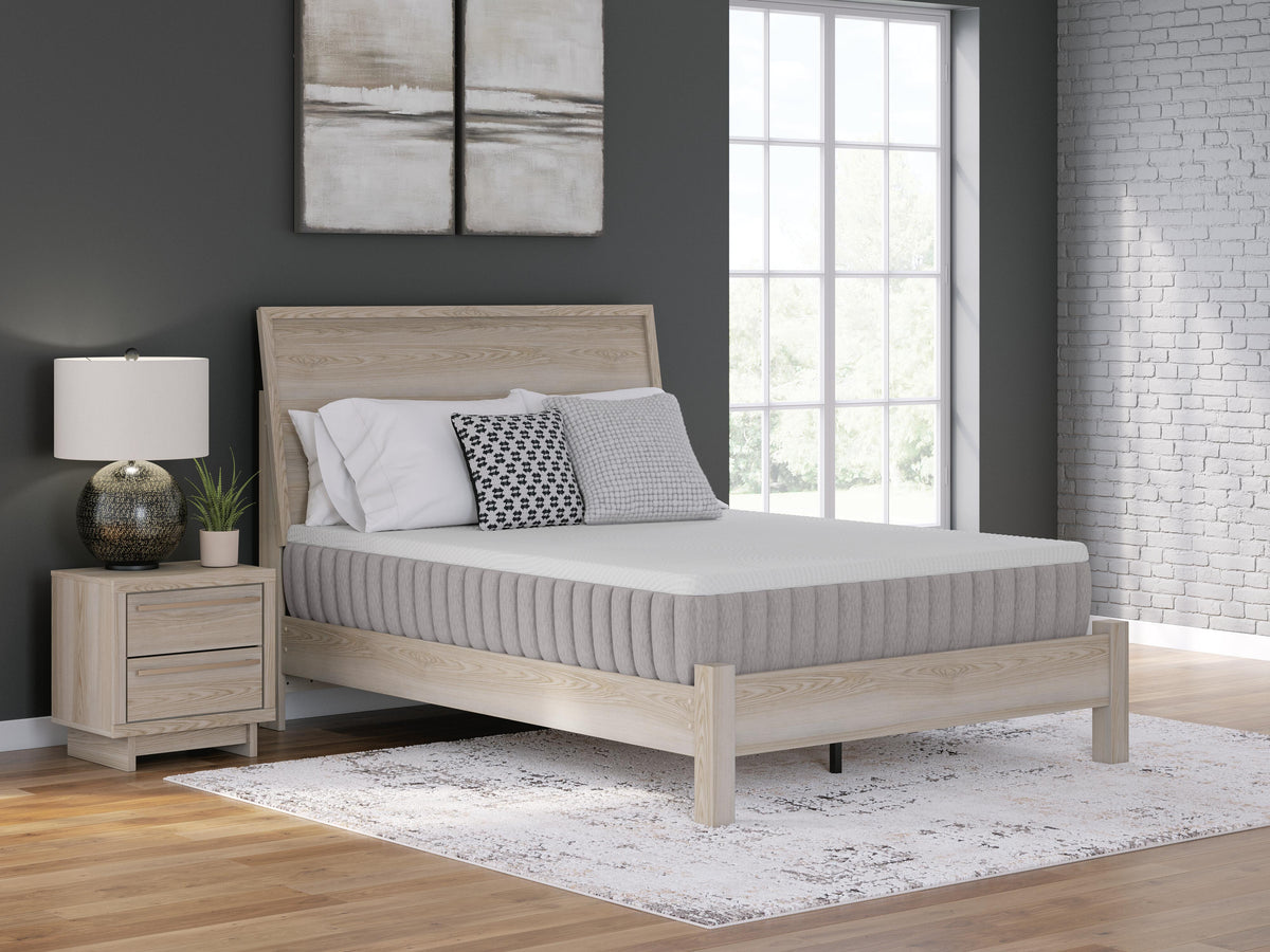 Terra Sleep Medium Queen Mattress