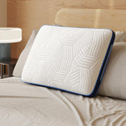 Nectar Premier Pillow (4/CS)