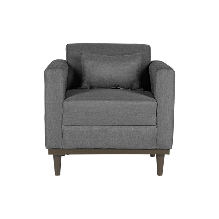 AIDEN CHAIR W/1 THROW PILLOW-SILVER GRAY