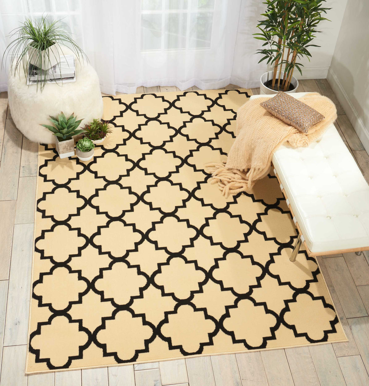 Grafix GRF08 Cream Black Rug - room scene