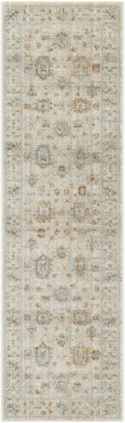 Traditional Home TRH01 Ivory Beige Rug - Runner