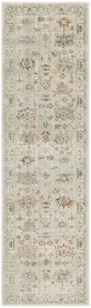 Traditional Home TRH02 Beige Rug - Runner