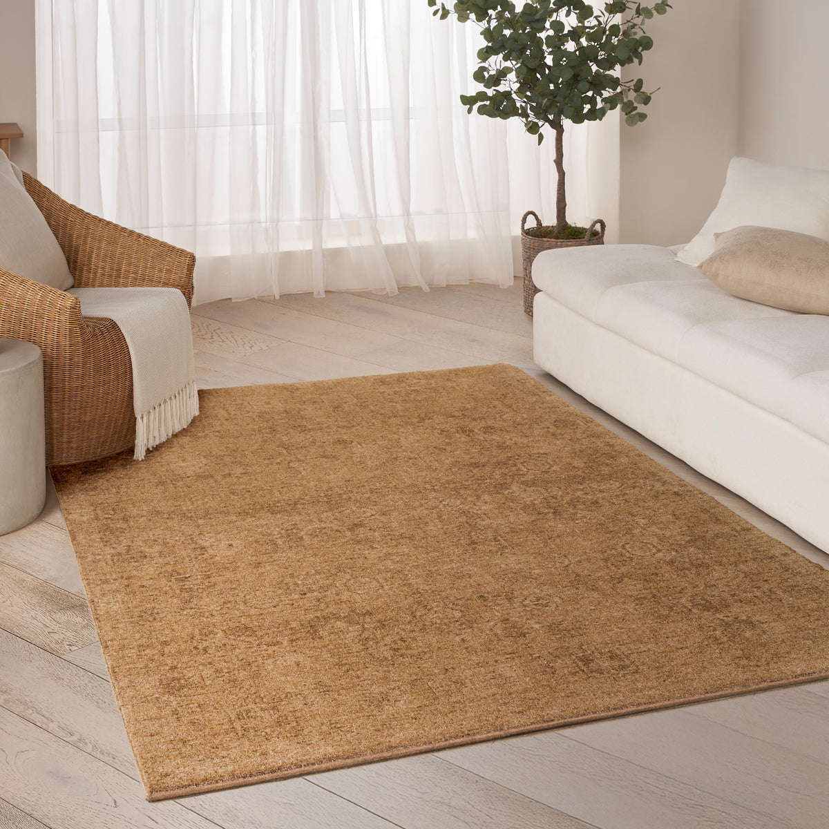 Pure Shades SAD01 Latte Rug - room scene