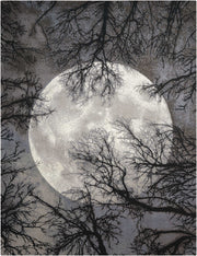 Twilight TWI17 Moon Rug - Rectangle